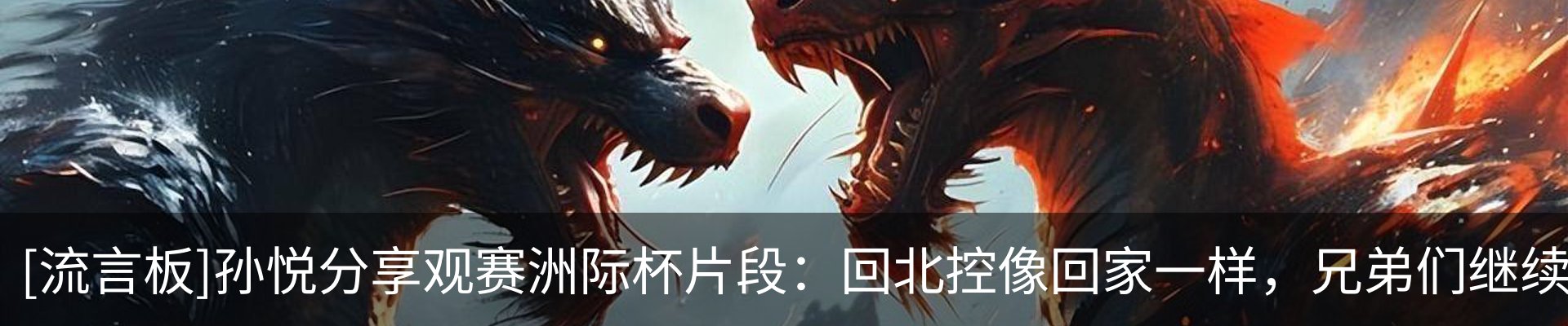 最新动态